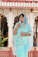 Sea Green Pure Diamond Chiffon Sequins Work Saree