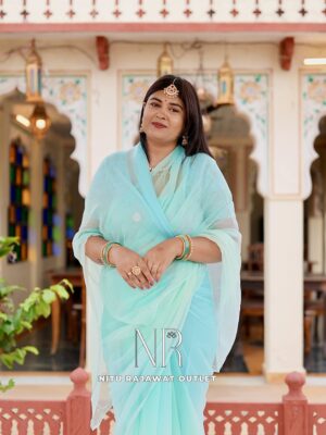 Sea Green Pure Diamond Chiffon Sequins Work Saree